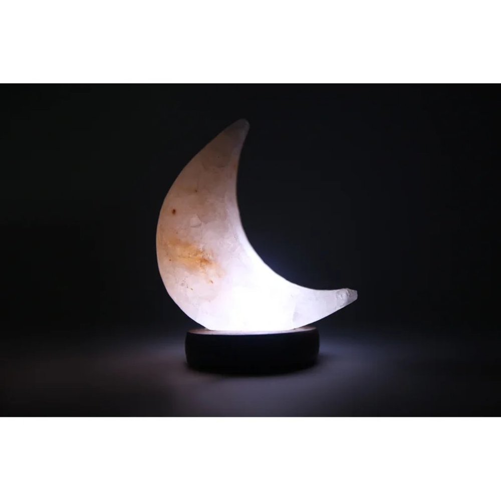 Dakota Fields Schutz Mini Moon 1.5 Ibs Salt Lamp